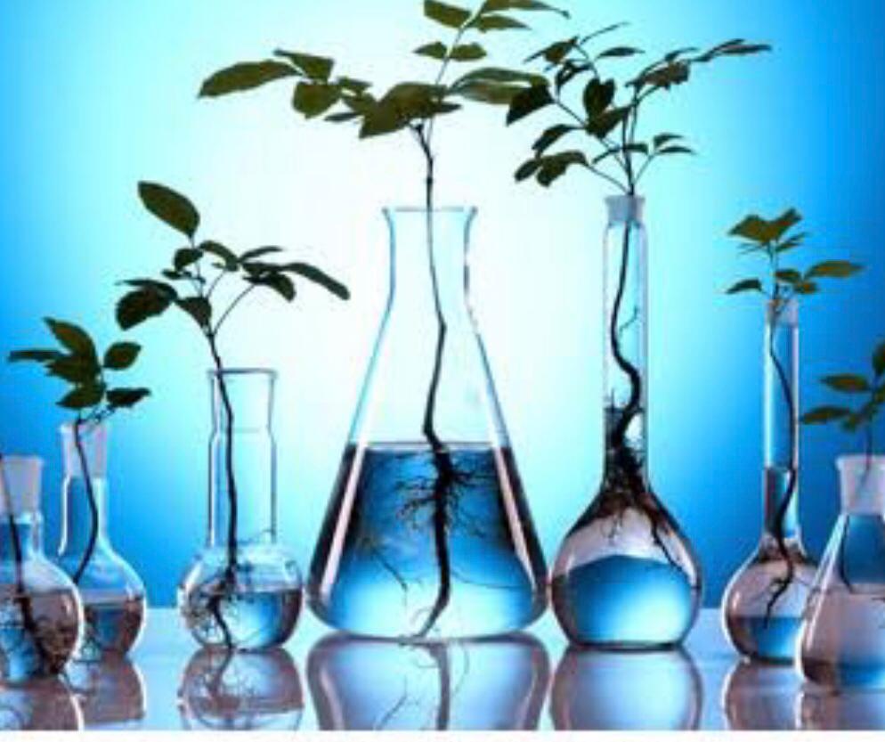 CM Balochistan approves establishment of Environmental Laboratory
