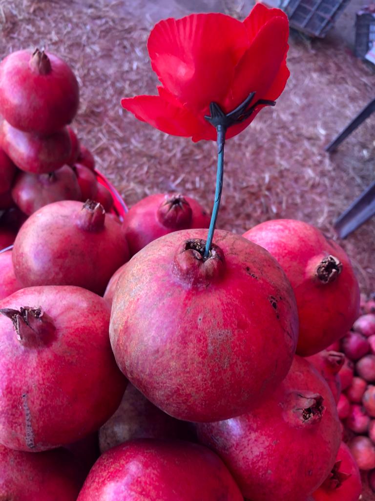 Red sweet Kandhari Anar now in markets across Pakistan